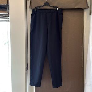 Lululemon Men's Navy Pants